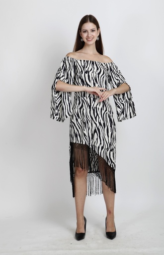 [P-13] EWEP-13 Zebra fringe